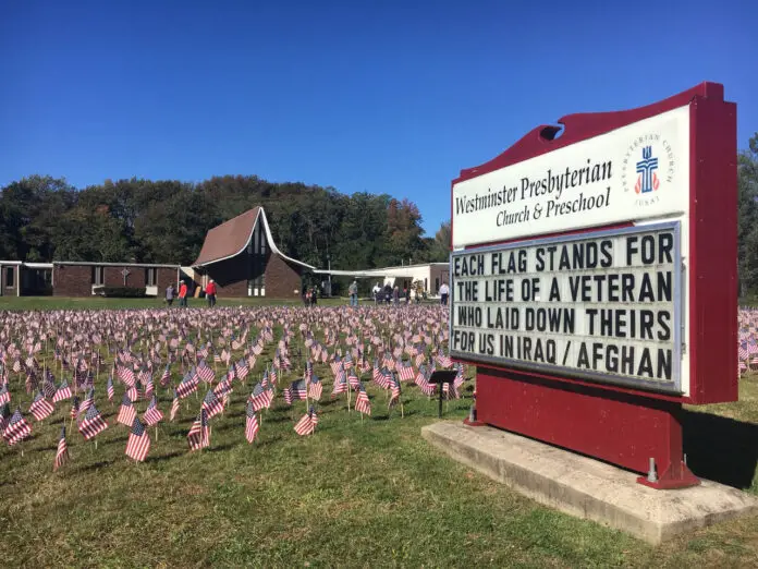 Field of Flags